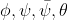 \phi , \psi, \bar{\psi}, \theta
