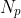 N_{p}