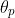 \theta _{p}