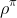 \rho^\pi